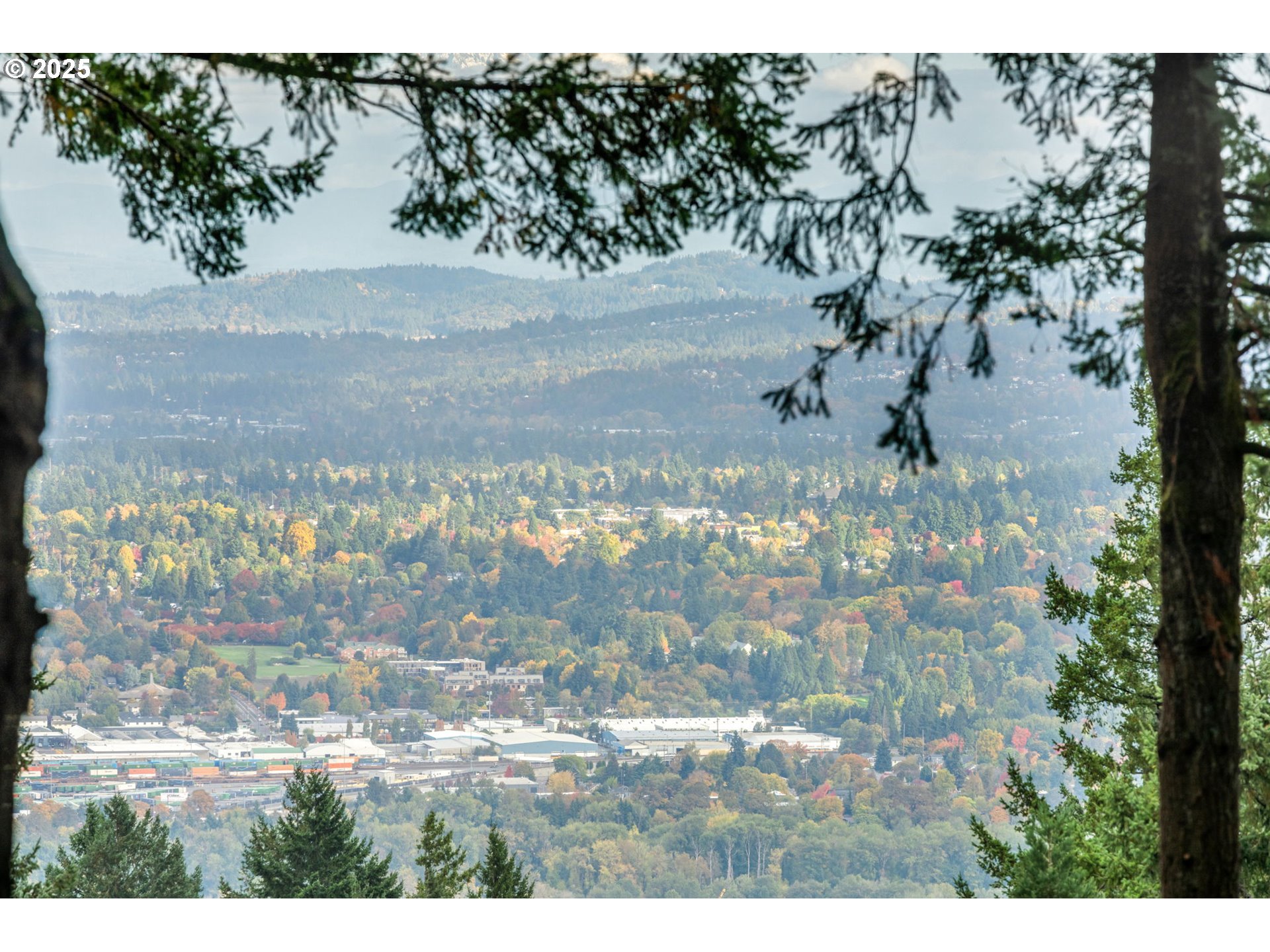 4530 Southwest Council Crest Drive Portland, OR 97239 - Photo 35 of 43 a view of a yard with a tree in back
