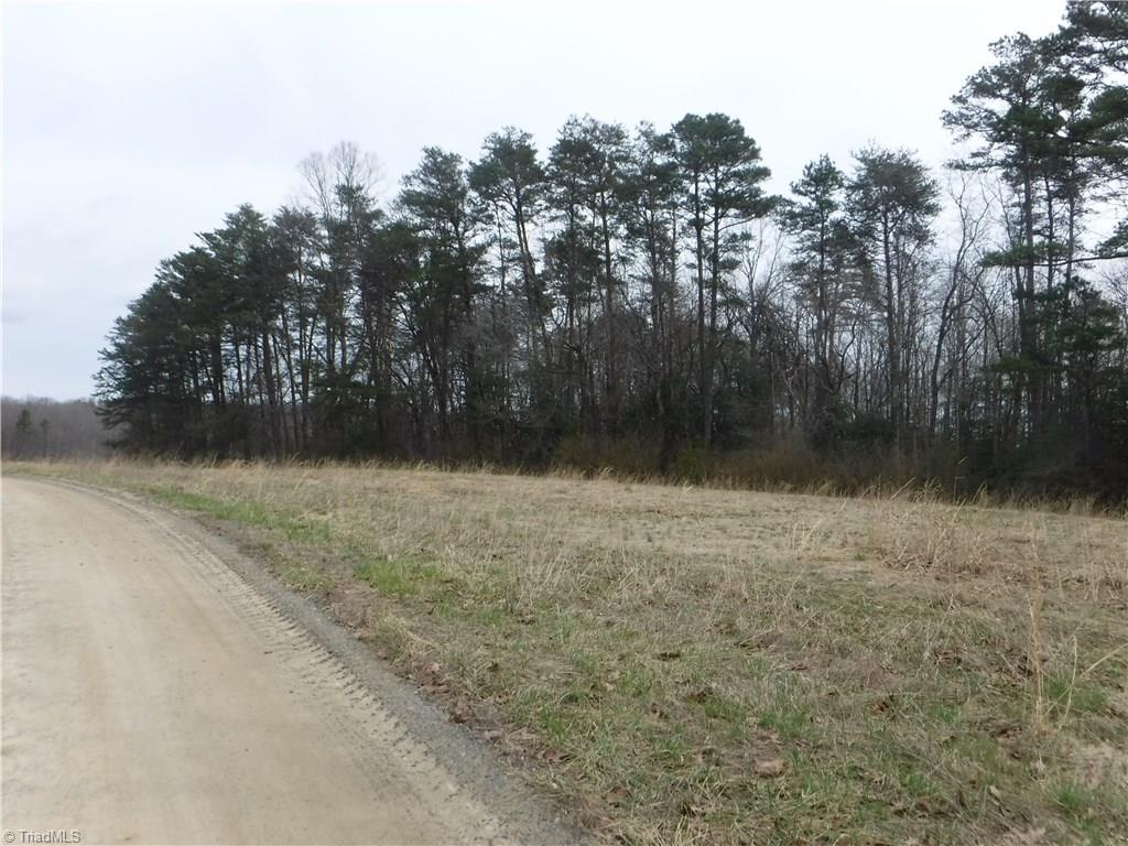 1001 Wagon Ridge Road Roaring River, NC 28669 - Photo 2 of 14 Gallery Image 2