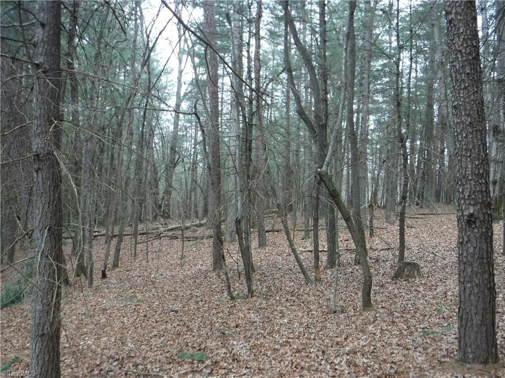 1001 Wagon Ridge Road Roaring River, NC 28669 - Photo 11 of 14 Gallery Image 11