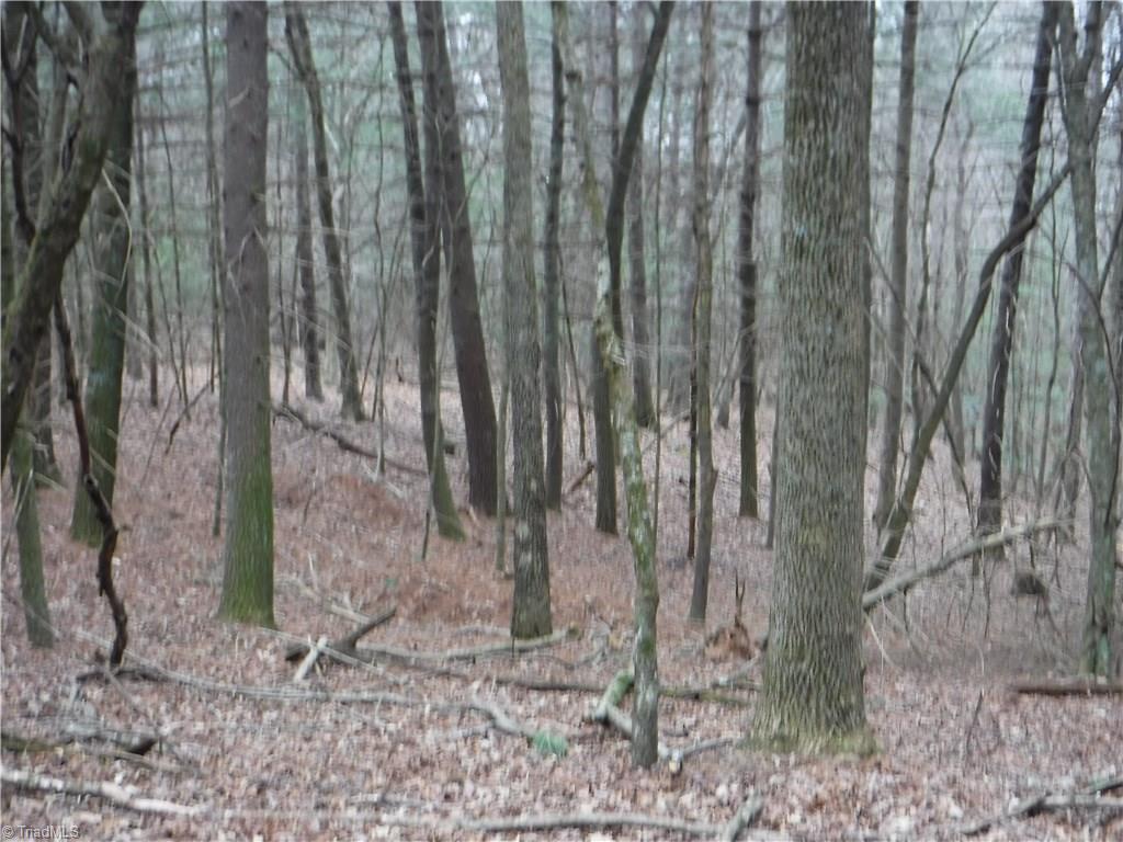 1001 Wagon Ridge Road Roaring River, NC 28669 - Photo 12 of 14 Gallery Image 12