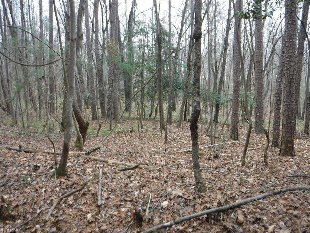 1001 Wagon Ridge Road Roaring River, NC 28669 - Photo 13 of 14 Gallery Image 13