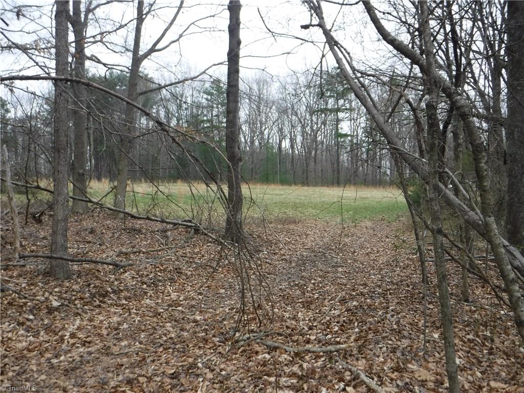 1001 Wagon Ridge Road Roaring River, NC 28669 - Photo 14 of 14 Gallery Image 14