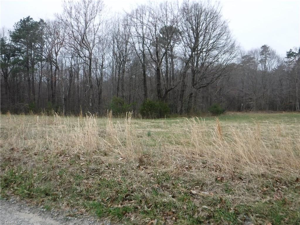 1001 Wagon Ridge Road Roaring River, NC 28669 - Photo 3 of 14 Gallery Image 3