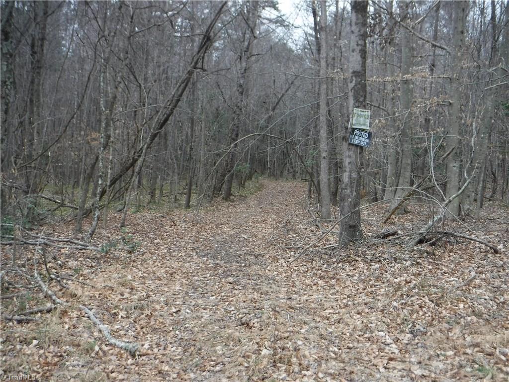 1001 Wagon Ridge Road Roaring River, NC 28669 - Photo 4 of 14 Gallery Image 4