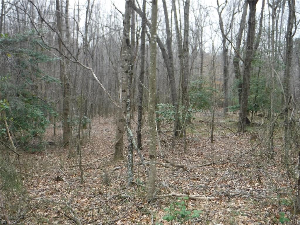 1001 Wagon Ridge Road Roaring River, NC 28669 - Photo 5 of 14 Gallery Image 5