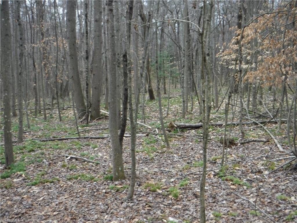 1001 Wagon Ridge Road Roaring River, NC 28669 - Photo 6 of 14 Gallery Image 6