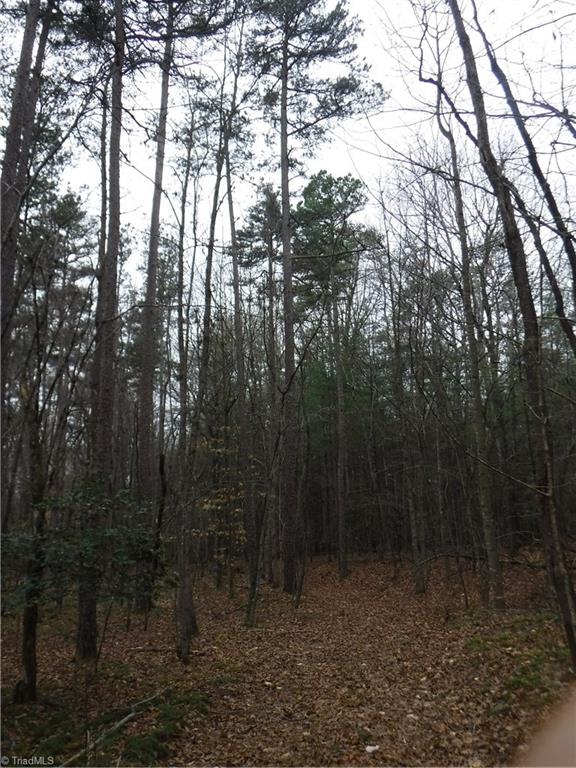 1001 Wagon Ridge Road Roaring River, NC 28669 - Photo 7 of 14 Gallery Image 7