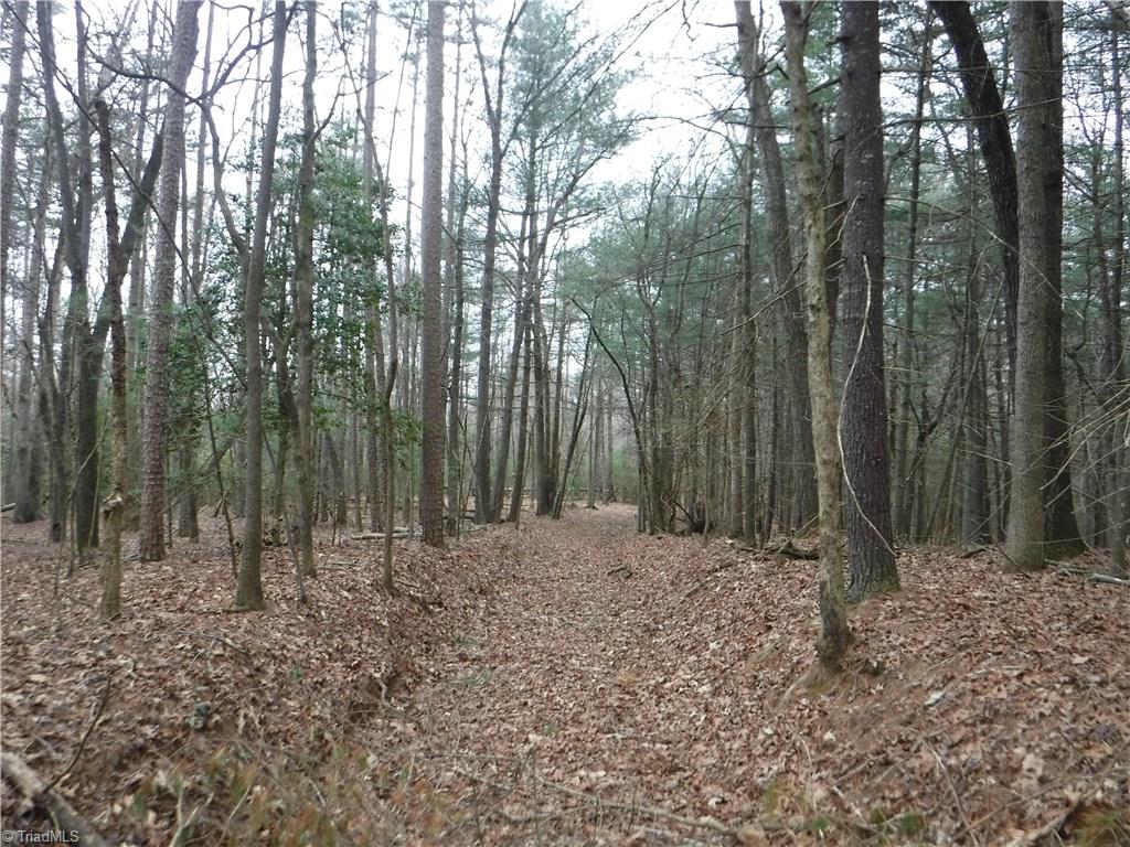1001 Wagon Ridge Road Roaring River, NC 28669 - Photo 8 of 14 Gallery Image 8