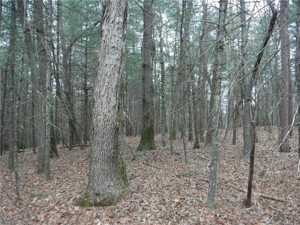 1001 Wagon Ridge Road Roaring River, NC 28669 - Photo 9 of 14 Gallery Image 9
