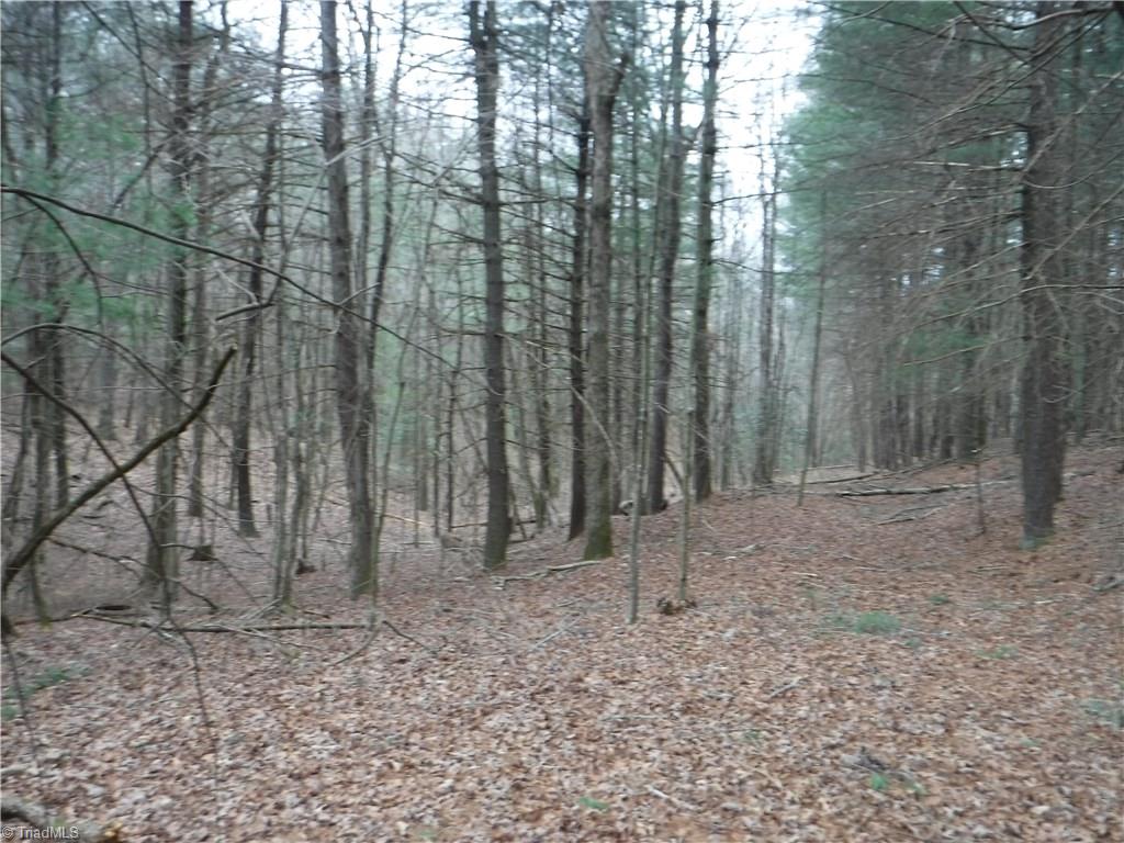 1001 Wagon Ridge Road Roaring River, NC 28669 - Photo 10 of 14 Gallery Image 10