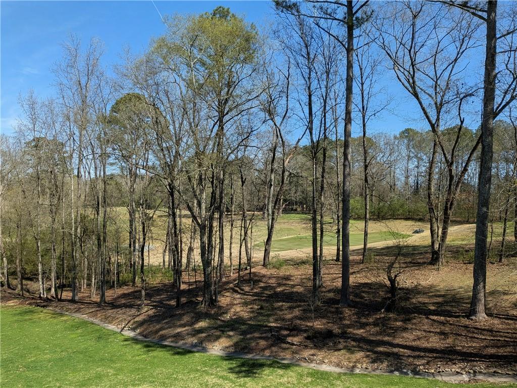 355 Golf View Drive Cohutta, GA 30710 - Photo 45 of 45 a backyard of a house with lots of green space