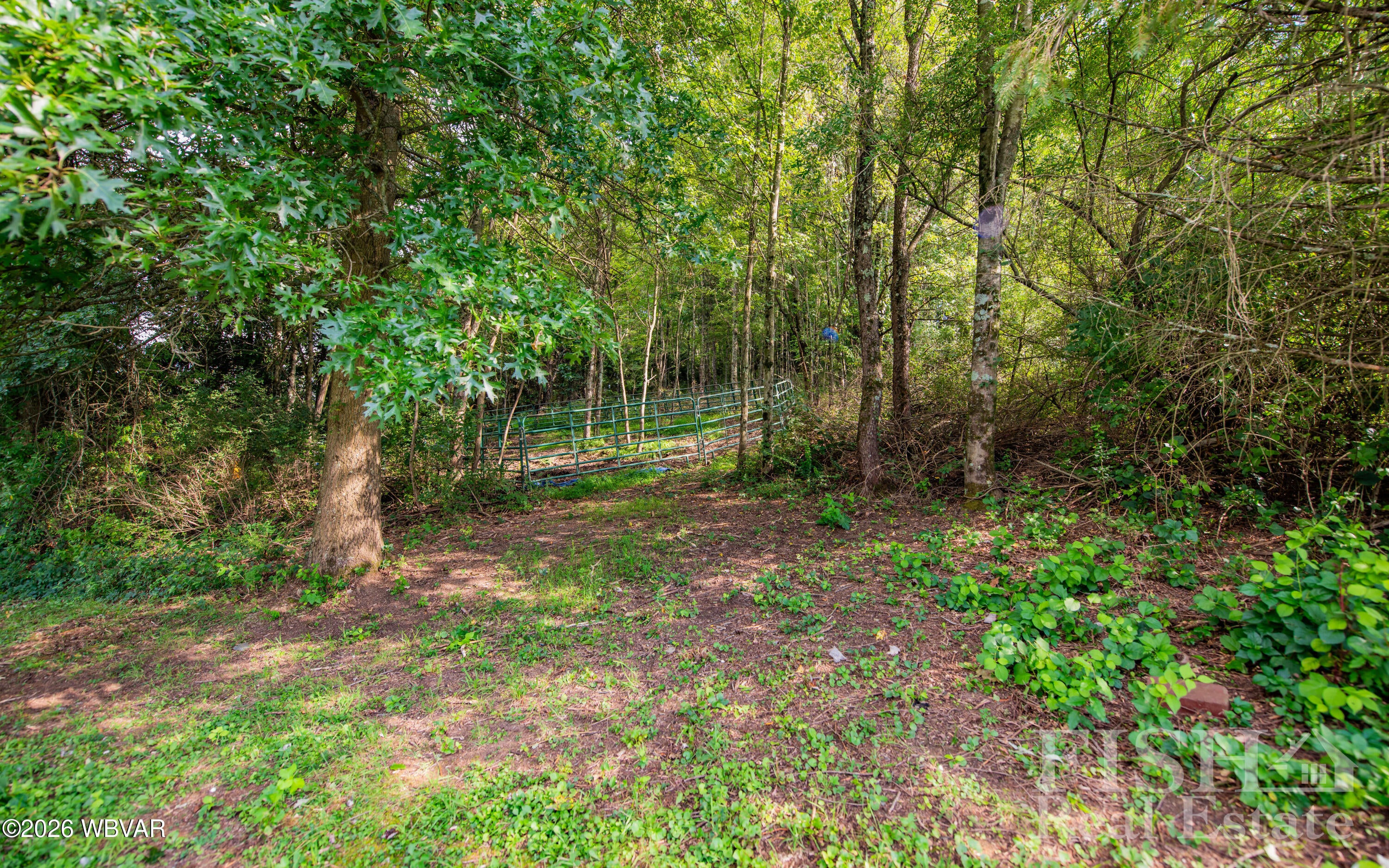 1322 Factory Road Cogan Station, PA 17728 - Photo 18 of 26 Gallery Image 18
