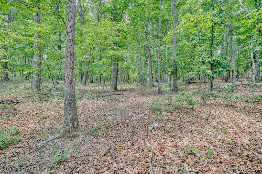 0 Ivyland Road Roanoke, VA 24014 - Photo 15 of 15 IMG_0204