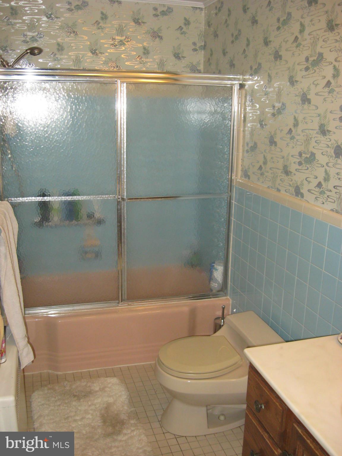 14709 Claude Lane Silver Spring, MD 20905 - Photo 18 of 21 a bathroom with a toilet a sink and shower