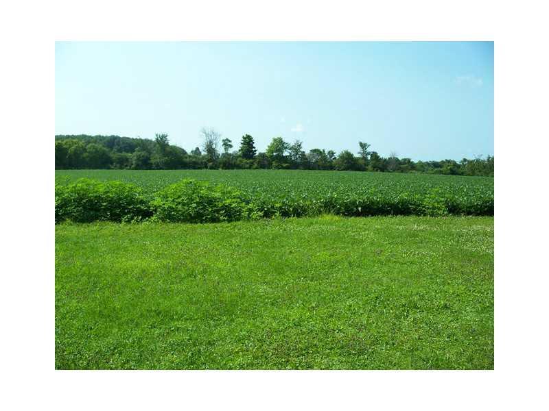 25976 Allen-Union-Wayne Road Waynesfield, OH 45896 - Photo 18 of 18