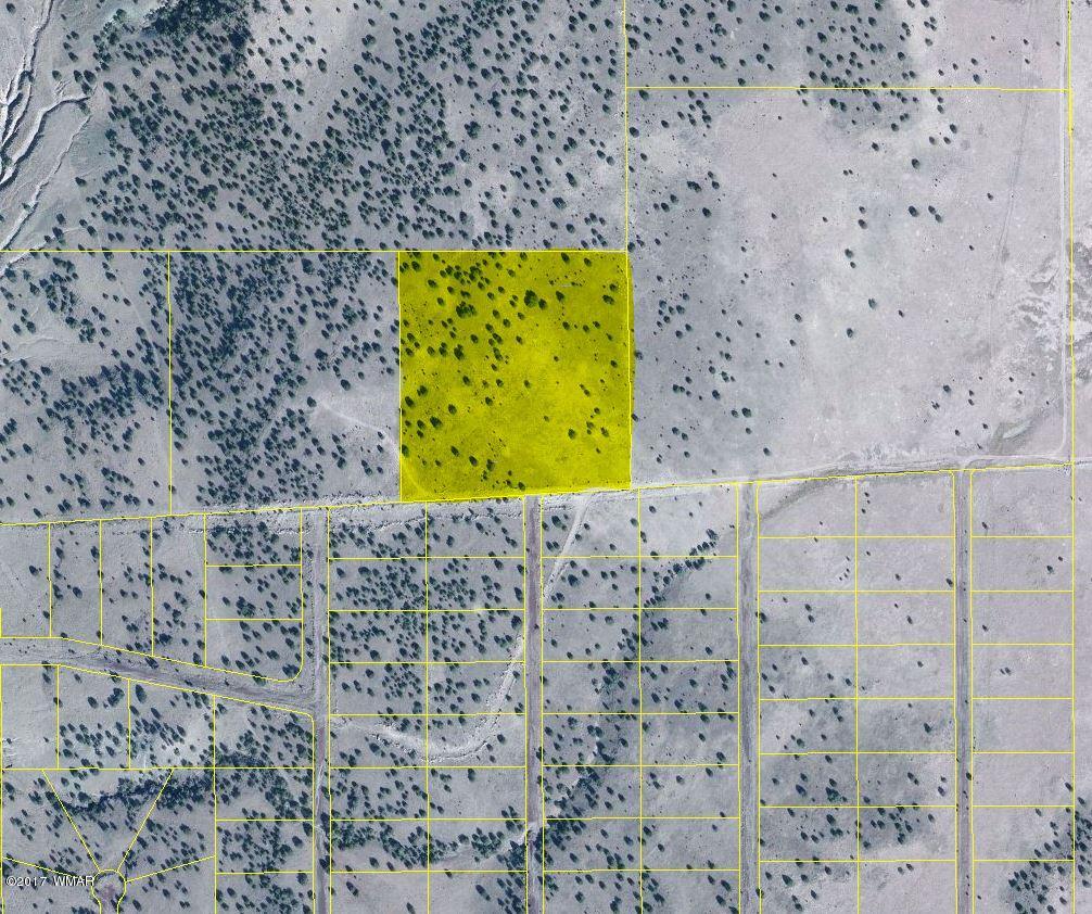 Lot 6 Big Six Ranch, Unit 2 Concho, AZ 85924 - Photo 1 of 1