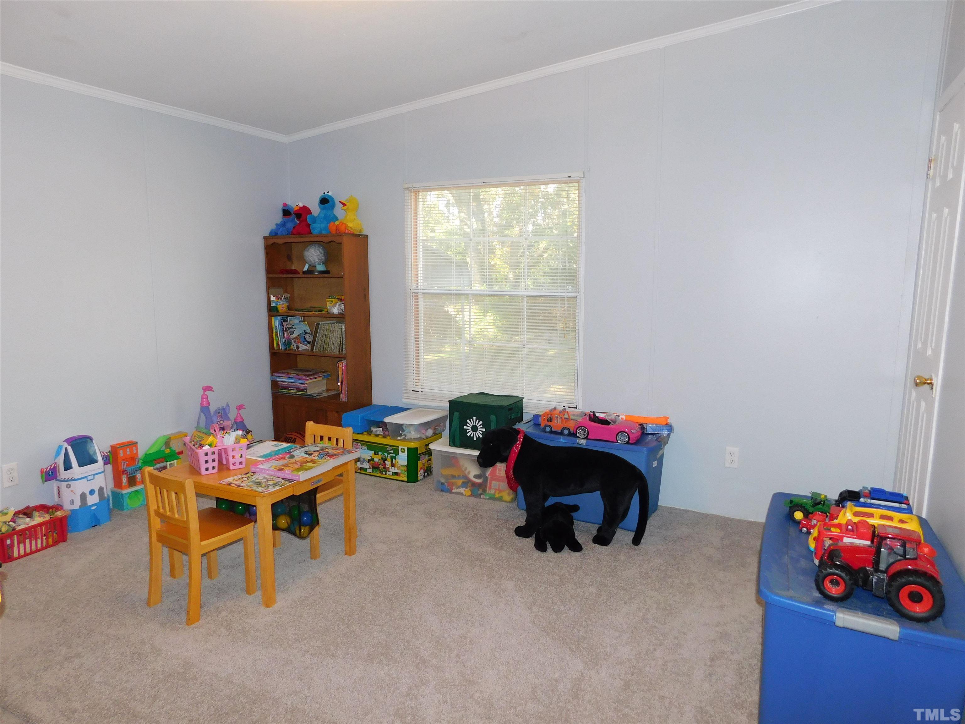 7180 Driver Road Zebulon, NC 27597 - Photo 14 of 19 a play room with toys and toys