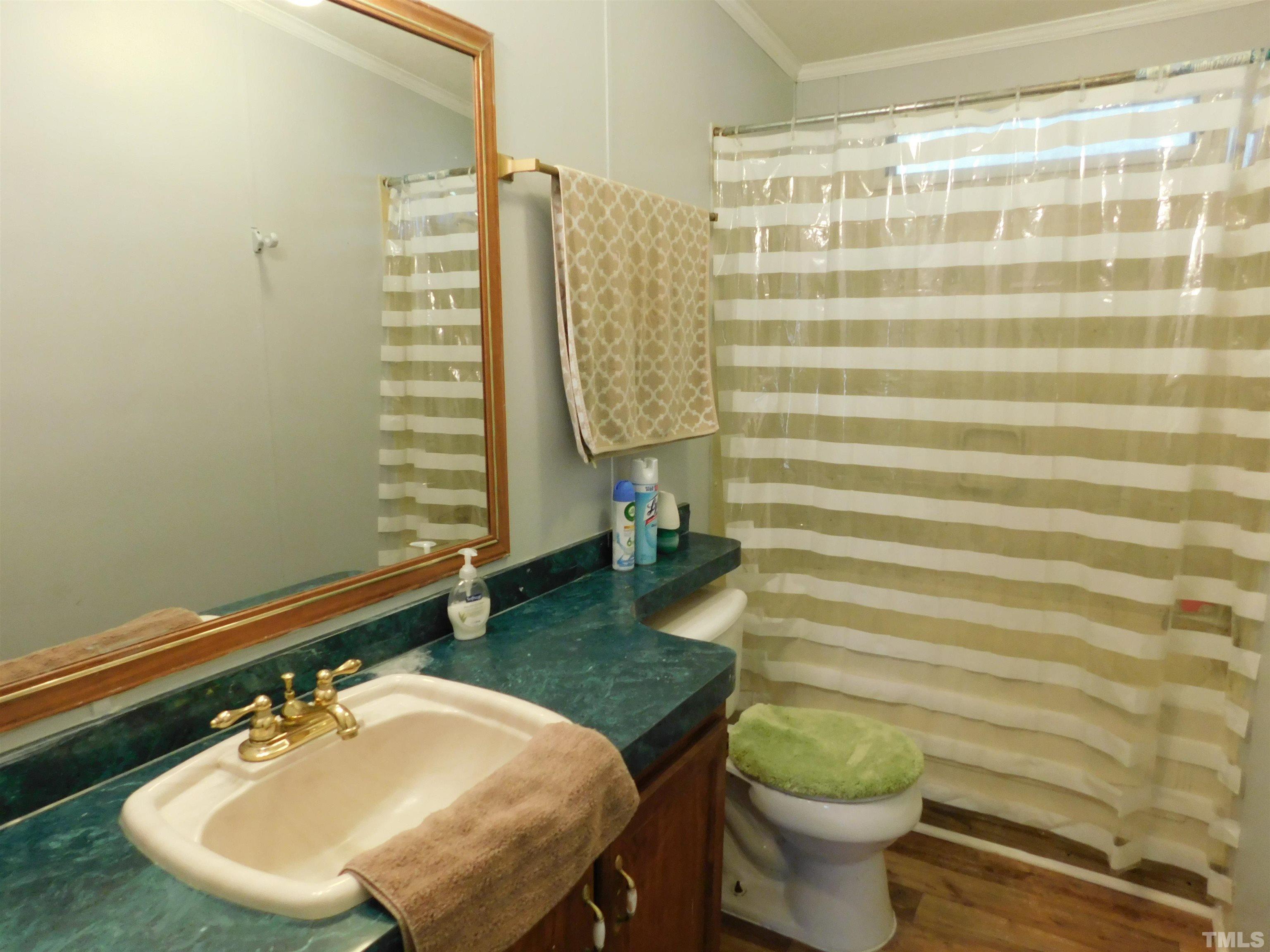 7180 Driver Road Zebulon, NC 27597 - Photo 15 of 19 a bathroom with a sink a toilet and shower curtain