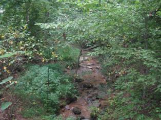 167 Rome Hollow Road Elizabethton, TN 37643 - Photo 2 of 33 167 Rome 018