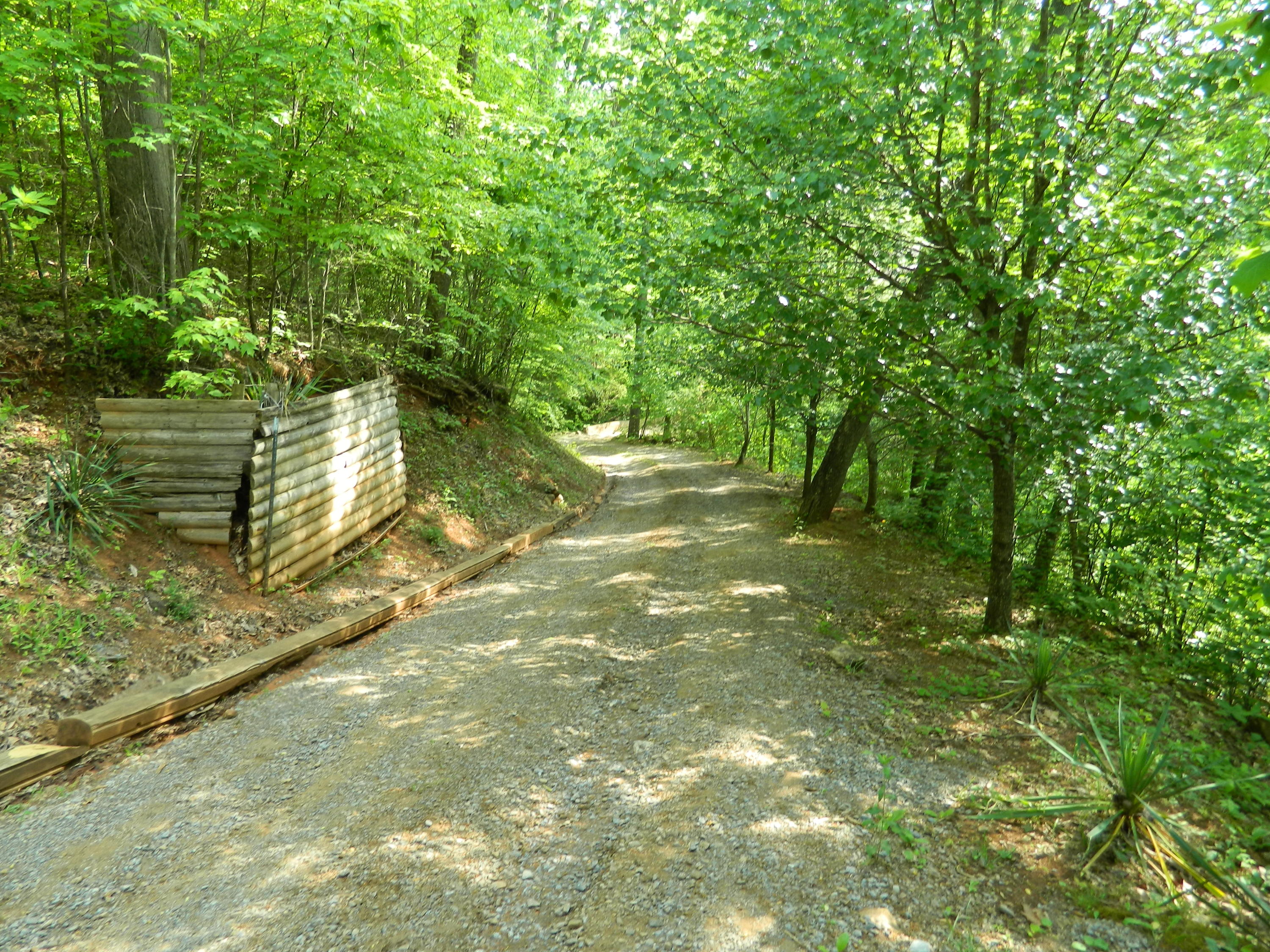 167 Rome Hollow Road Elizabethton, TN 37643 - Photo 22 of 33 DSCN1808