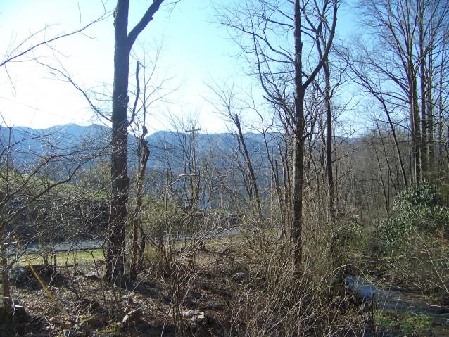 167 Rome Hollow Road Elizabethton, TN 37643 - Photo 9 of 33 167 Rome Hollow Road Elizabethton TN-Mou