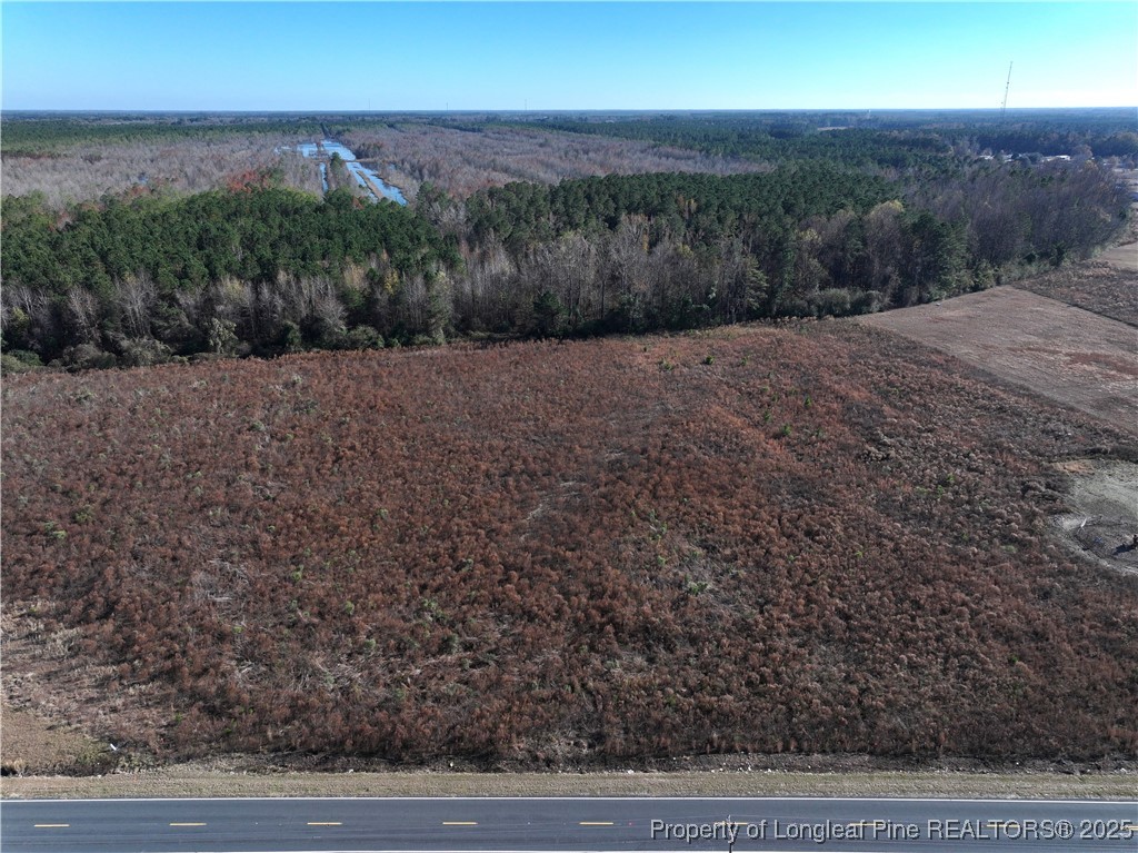 Wire Grass Road Orrum, NC 28369 - Photo 6 of 10 a view of a dry yard