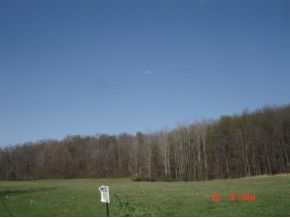 137 Marshman Road Chenango Forks, NY 13746 - Photo 15 of 22 Gallery Image 15