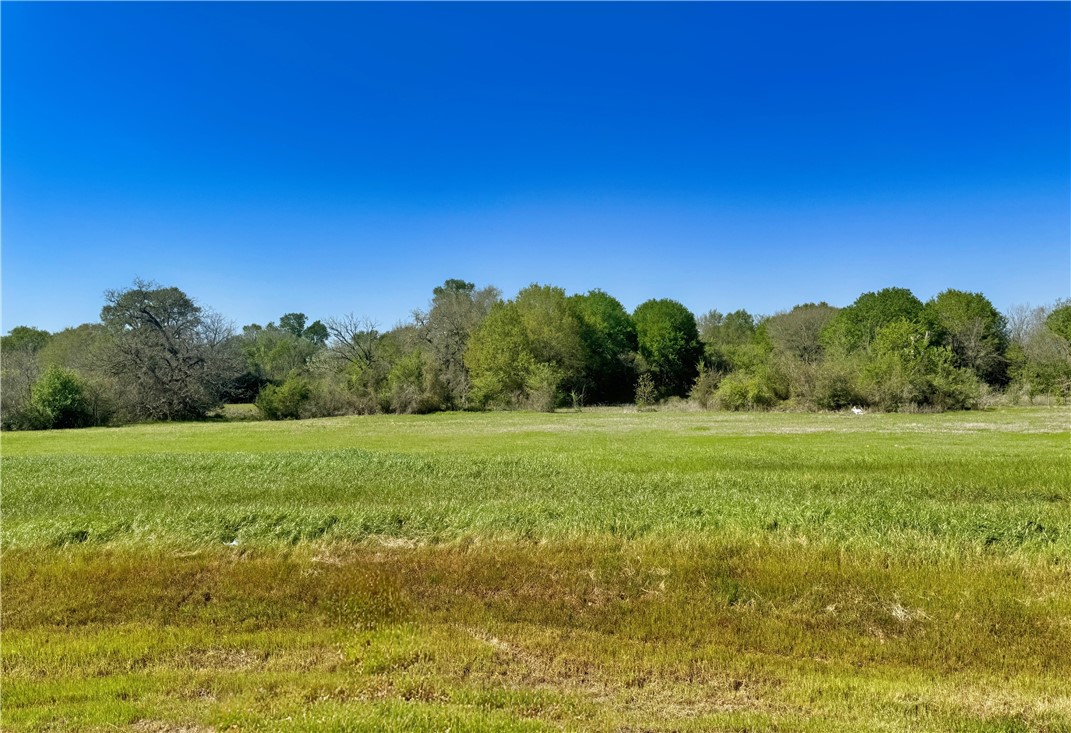 10283 Panther Creek Road Iola, TX 77861 - Photo 1 of 50 View of nature with a rural view