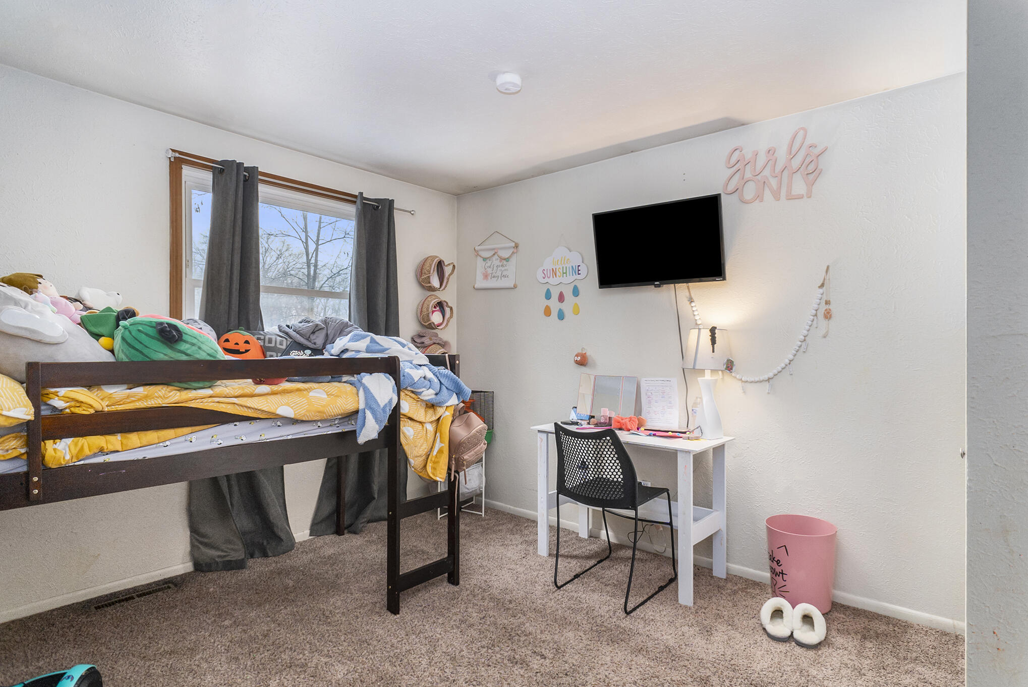 14070 Riverside Drive Constantine, MI 49042 - Photo 16 of 25 DSC04973