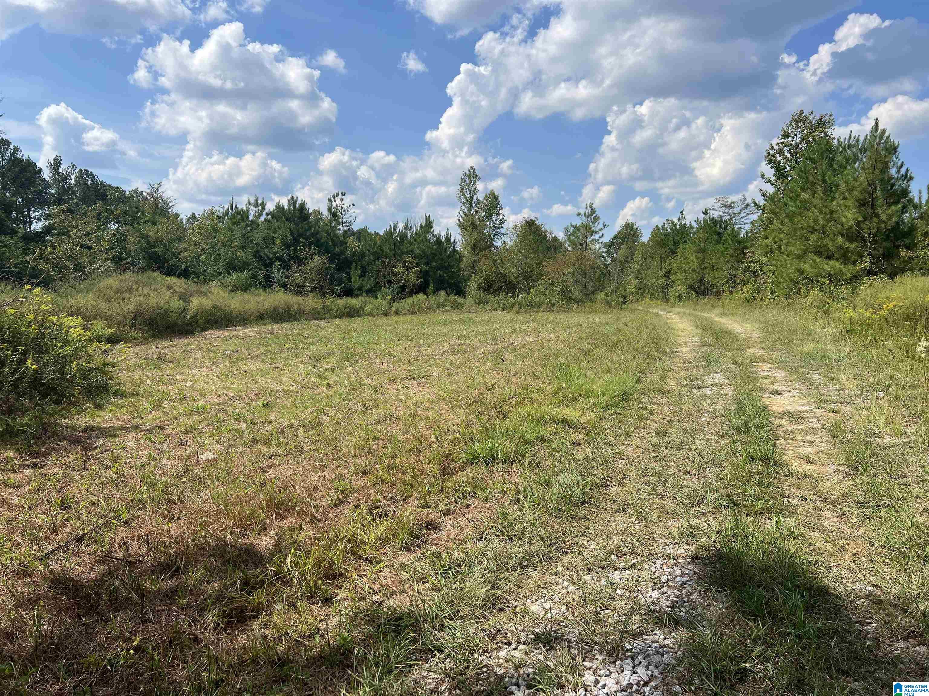 0 Sweatt Road Steele, AL 35987 - Photo 3 of 11