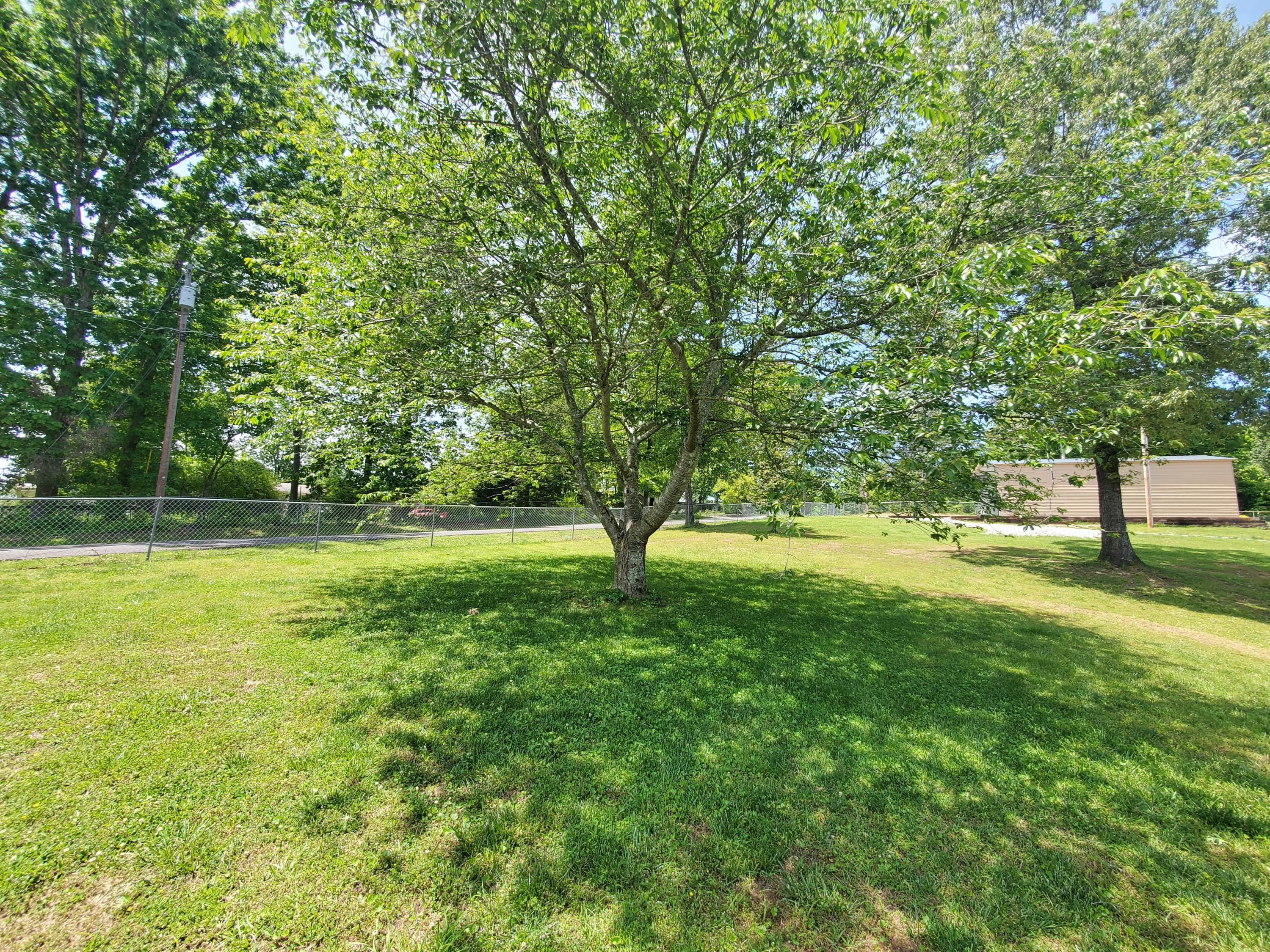 258 Clear Springs Road Harriman, TN 37748 - Photo 33 of 34 YARD 1