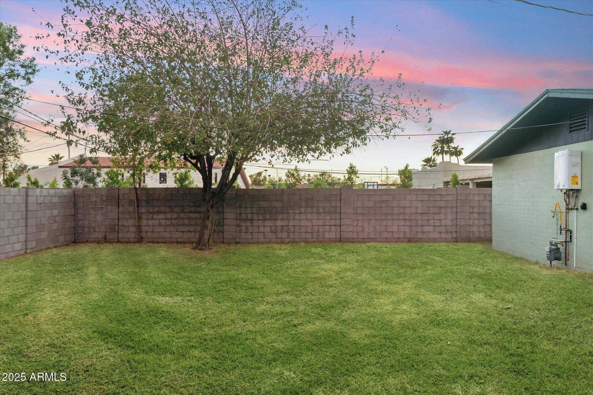 2423 East Flower Street Phoenix, AZ 85016 - Photo 15 of 15 Backyard