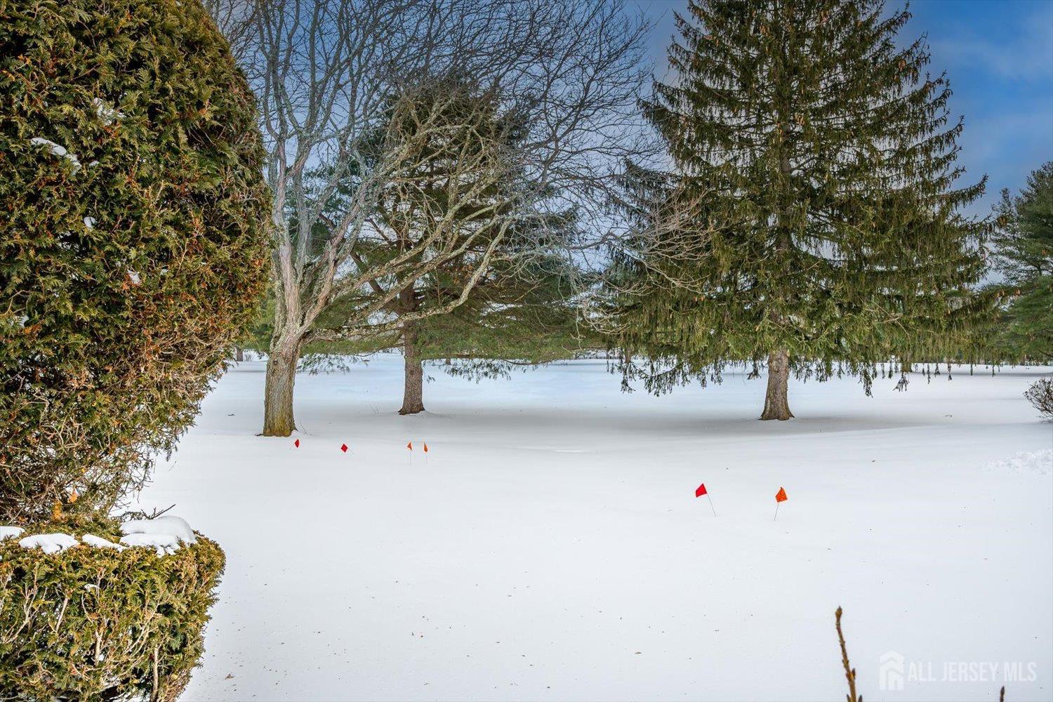 628A Windsor Way, Unit B Monroe Township, NJ 08831 - Photo 35 of 50 a view of yard