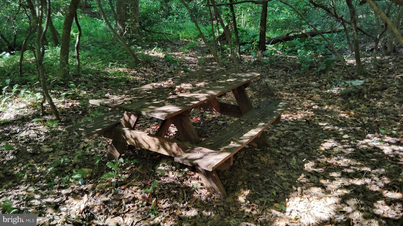13025 Thunder Road King George, VA 22485 - Photo 14 of 34 Secluded picnic spot in nature.