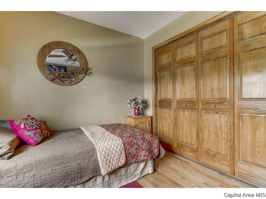 8535 Tolan Road Pleasant Plains, IL 62677 - Photo 18 of 36 Gallery Image 18