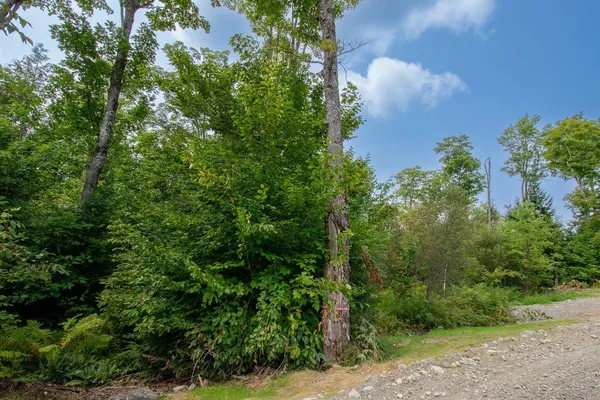 $39,000 | Lot1 Lot1 Bear Brook, Sebec, ME 04481