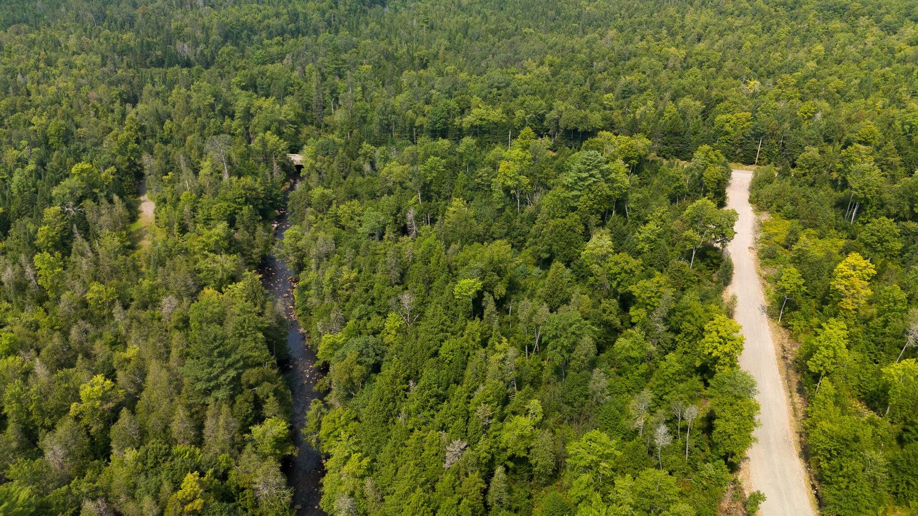 Lot1 Lot1 Bear Brook Sebec, ME 04481 - Photo 6 of 13 20240819143402143151000000-oBear Brook L