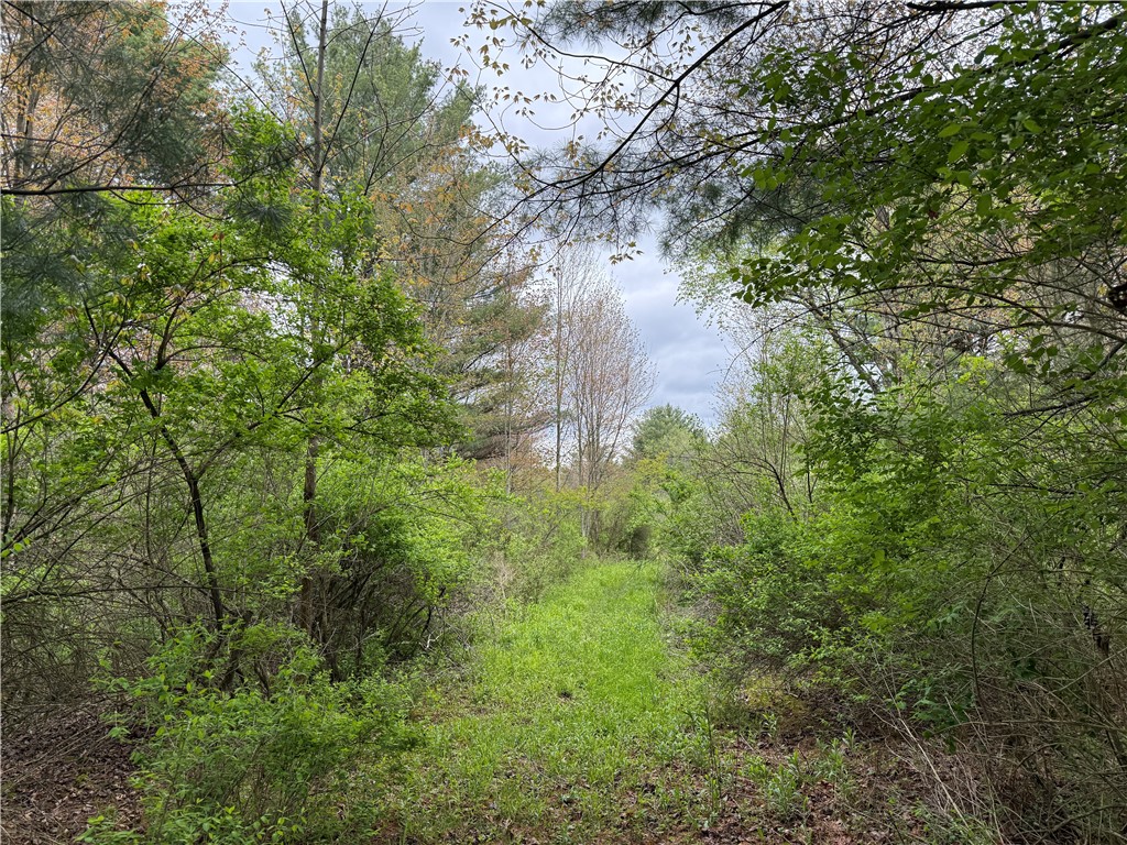 Caswell Road Freeville, NY 13068 - Photo 27 of 47