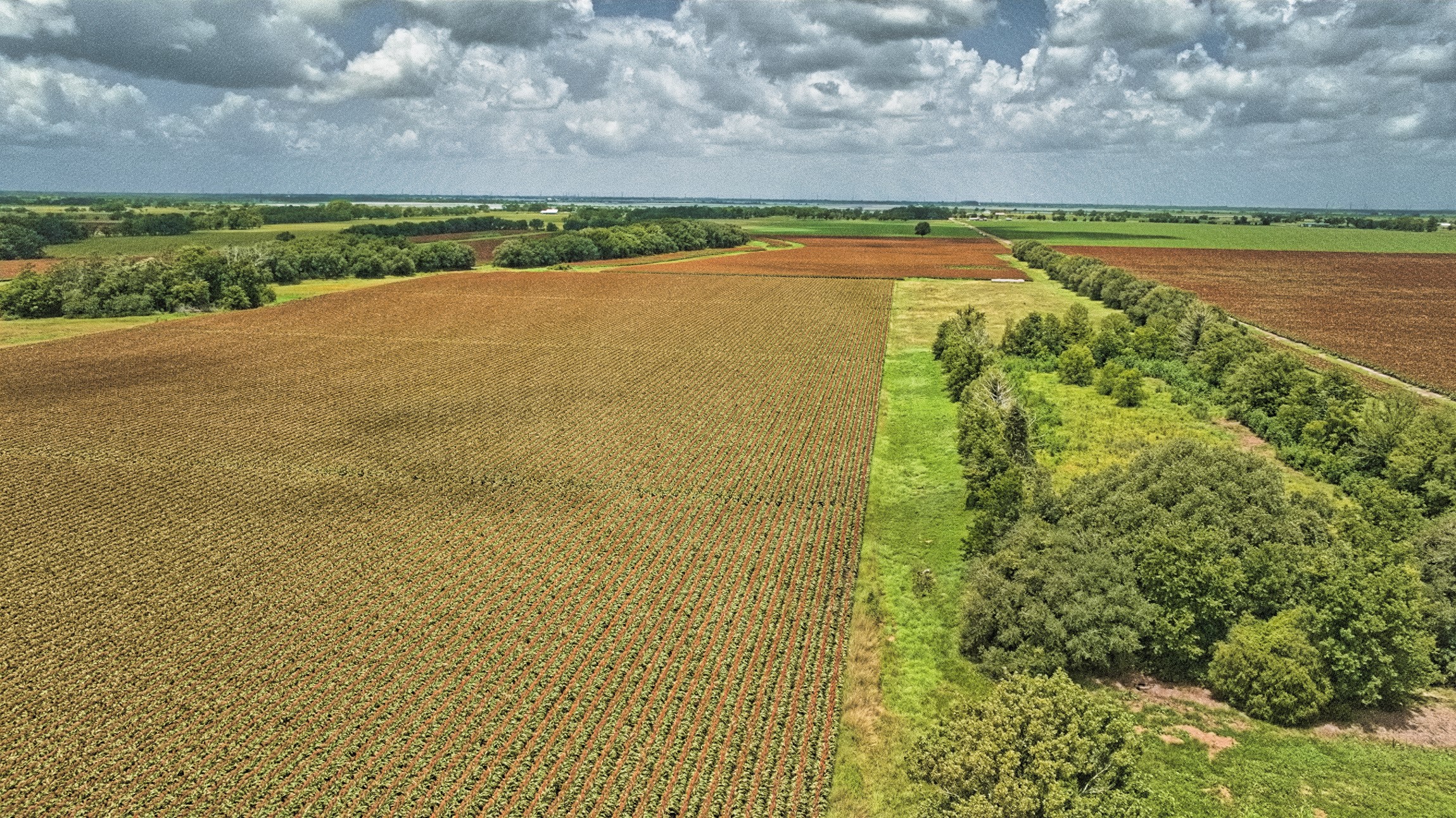 1462 Rd Damon Tx 77430 Road Damon, TX 77430 - Photo 11 of 22 a view of an ocean and beach