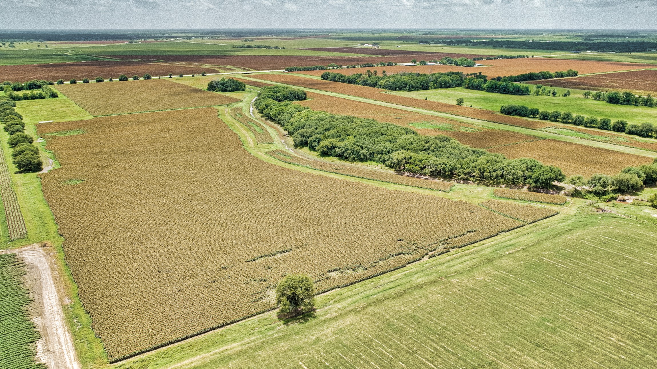 1462 Rd Damon Tx 77430 Road Damon, TX 77430 - Photo 12 of 22 a view of an ocean view