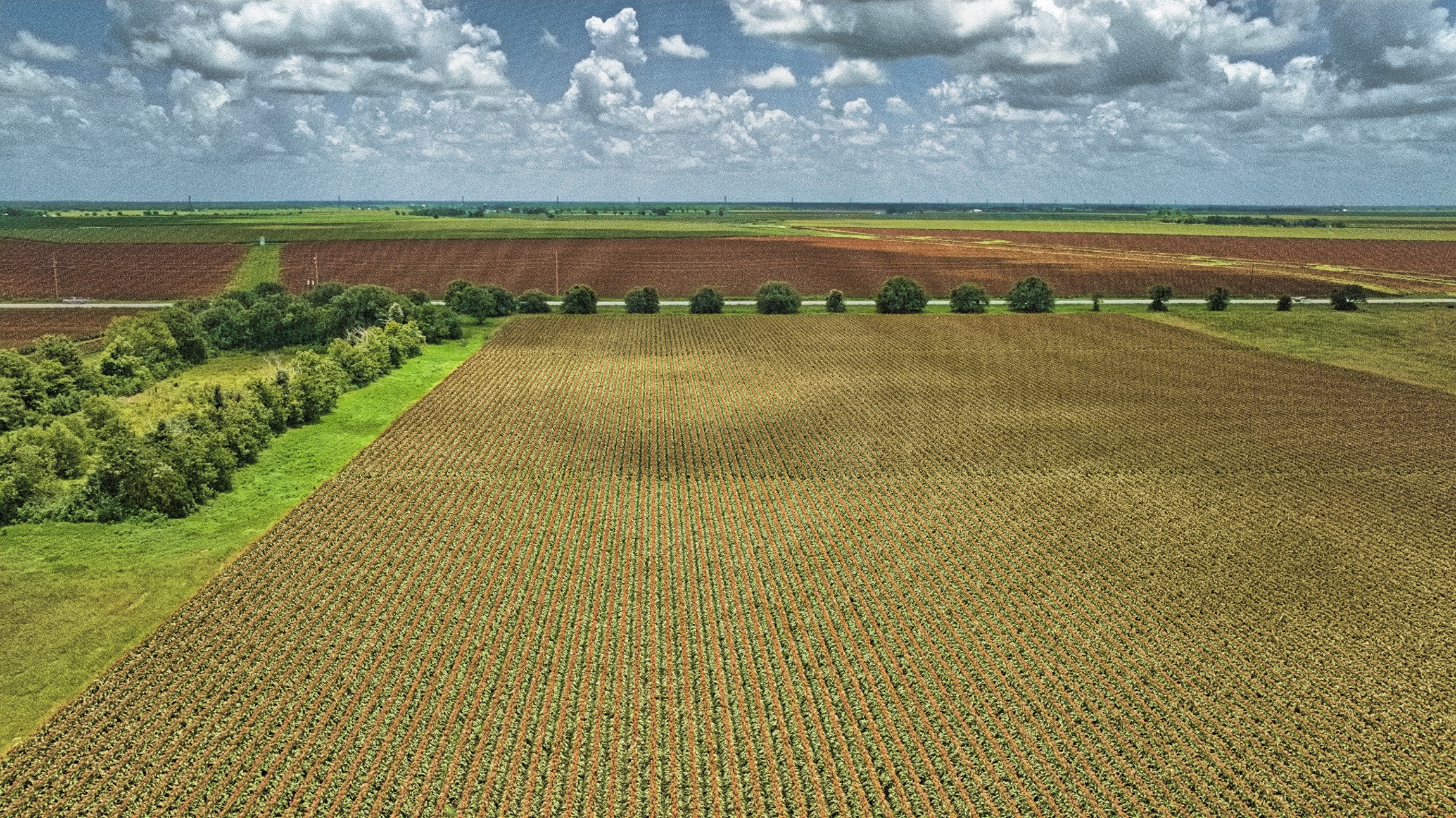 1462 Rd Damon Tx 77430 Road Damon, TX 77430 - Photo 13 of 22 a view of a city with an ocean