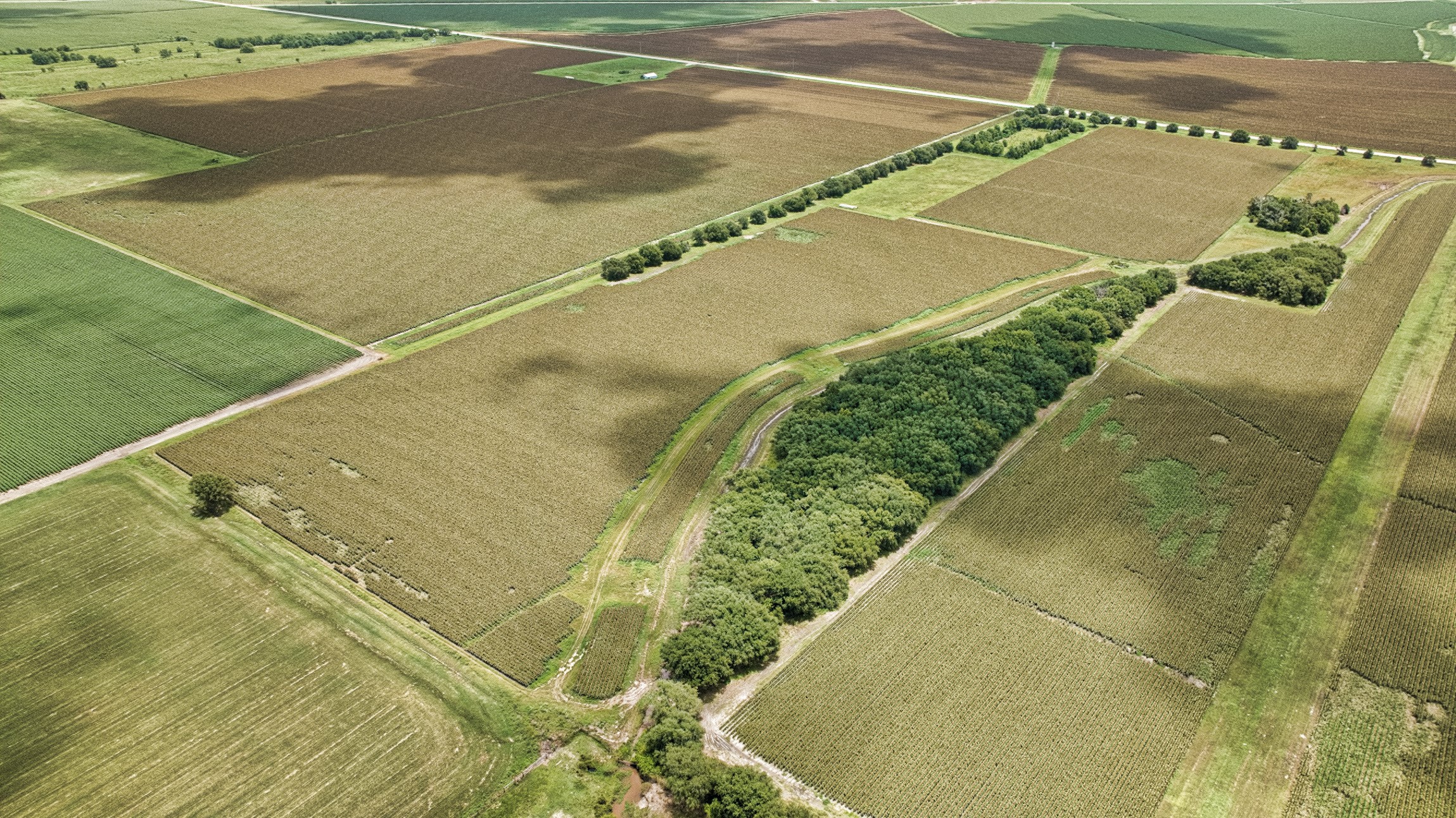 1462 Rd Damon Tx 77430 Road Damon, TX 77430 - Photo 14 of 22 a view of a swimming pool