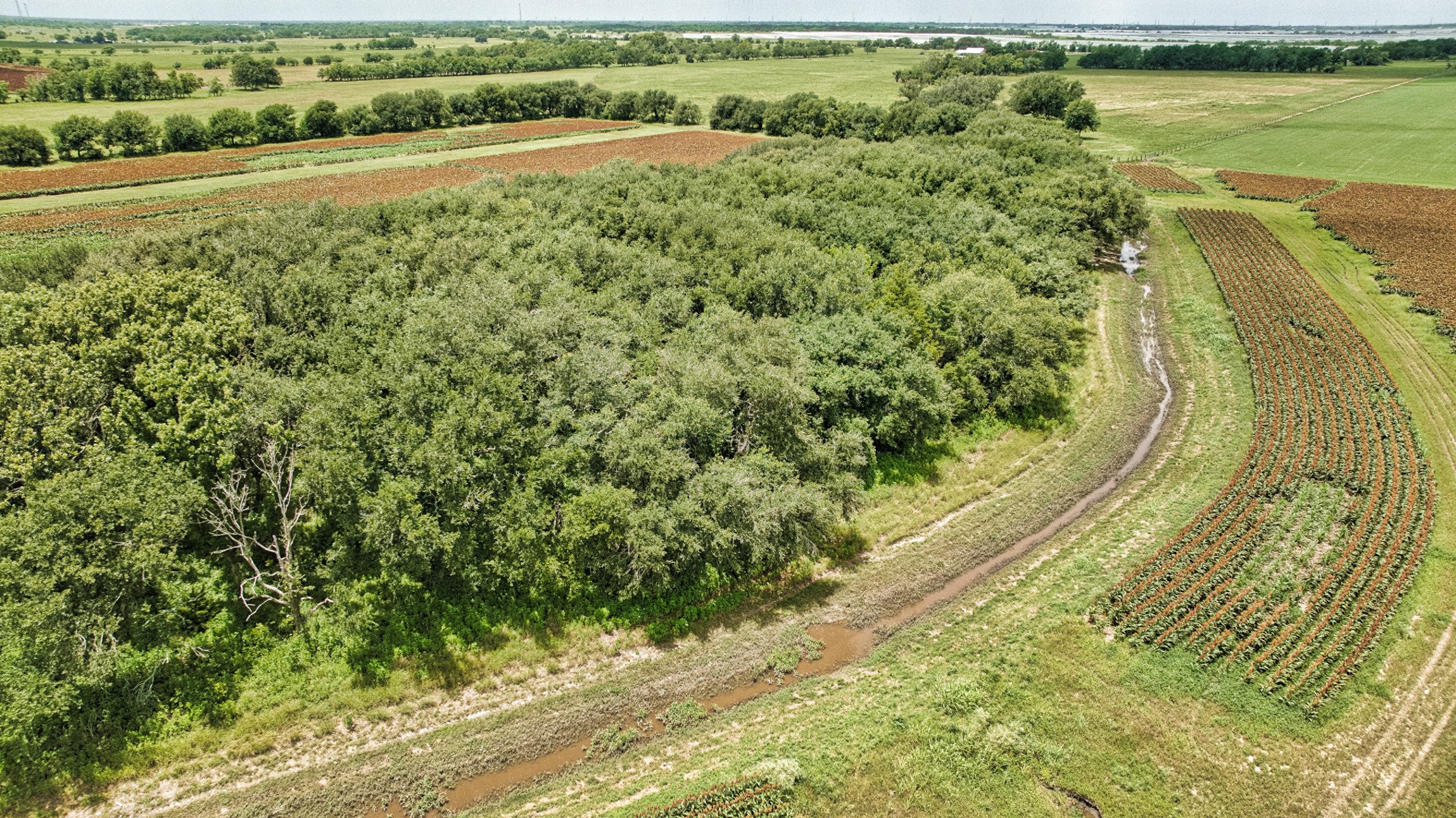 1462 Rd Damon Tx 77430 Road Damon, TX 77430 - Photo 15 of 22 a view of a yard with an outdoor space