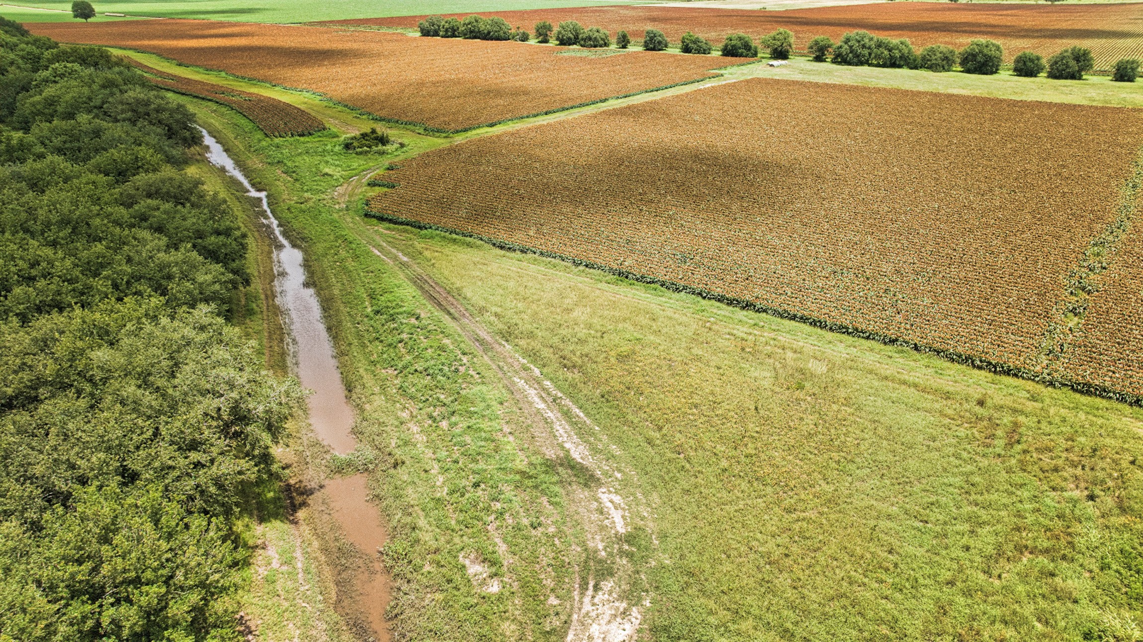 1462 Rd Damon Tx 77430 Road Damon, TX 77430 - Photo 16 of 22 a view of an ocean