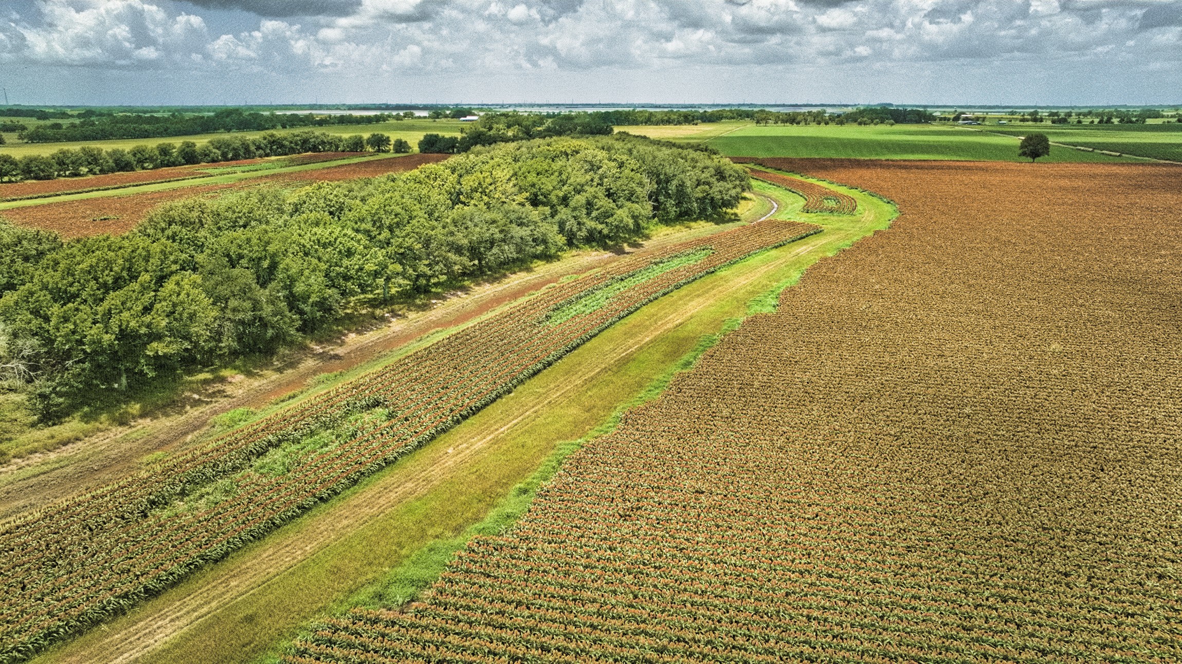 1462 Rd Damon Tx 77430 Road Damon, TX 77430 - Photo 17 of 22 a view of an ocean and beach