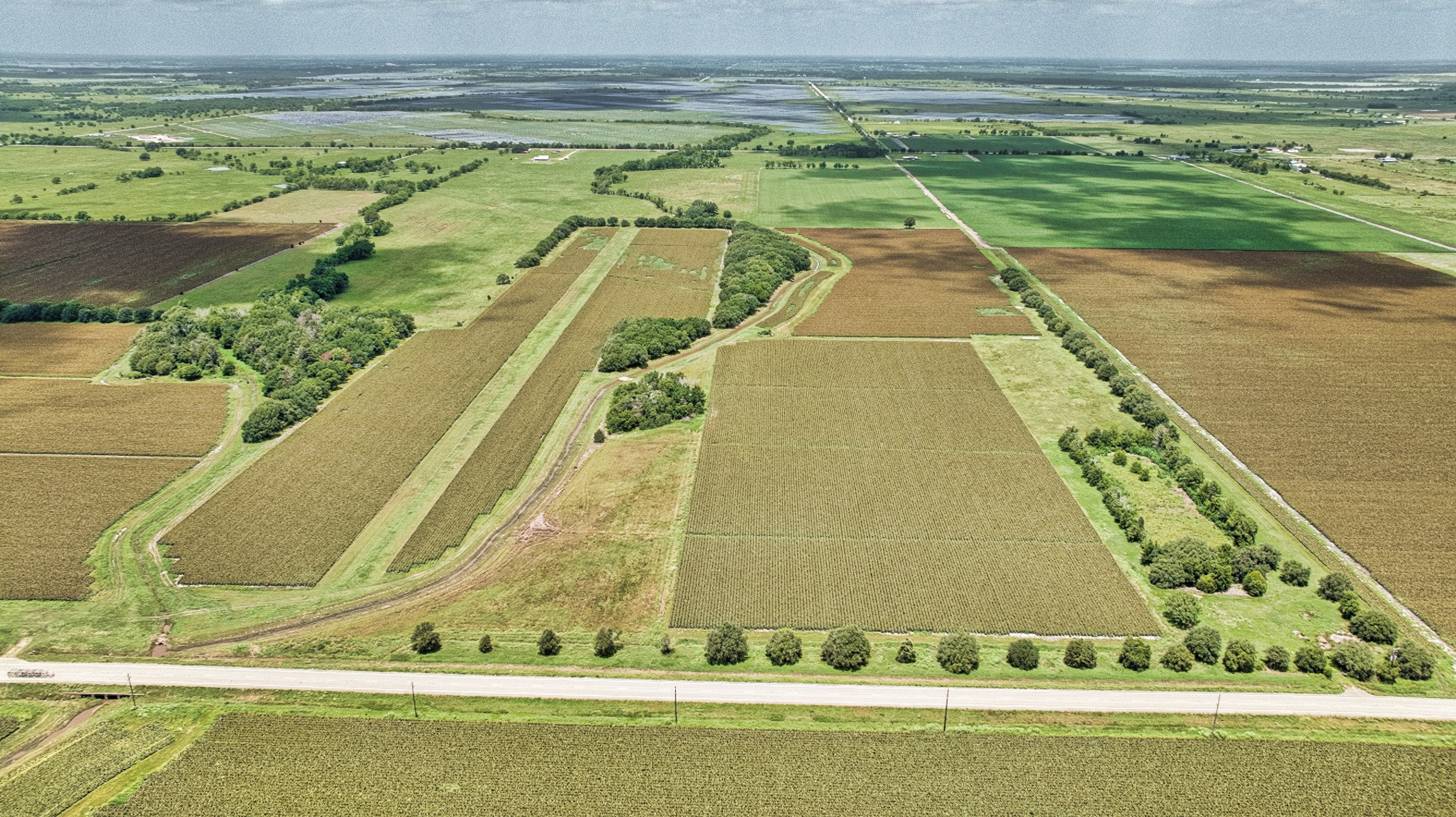 1462 Rd Damon Tx 77430 Road Damon, TX 77430 - Photo 19 of 22 a view of swimming pool with a garden