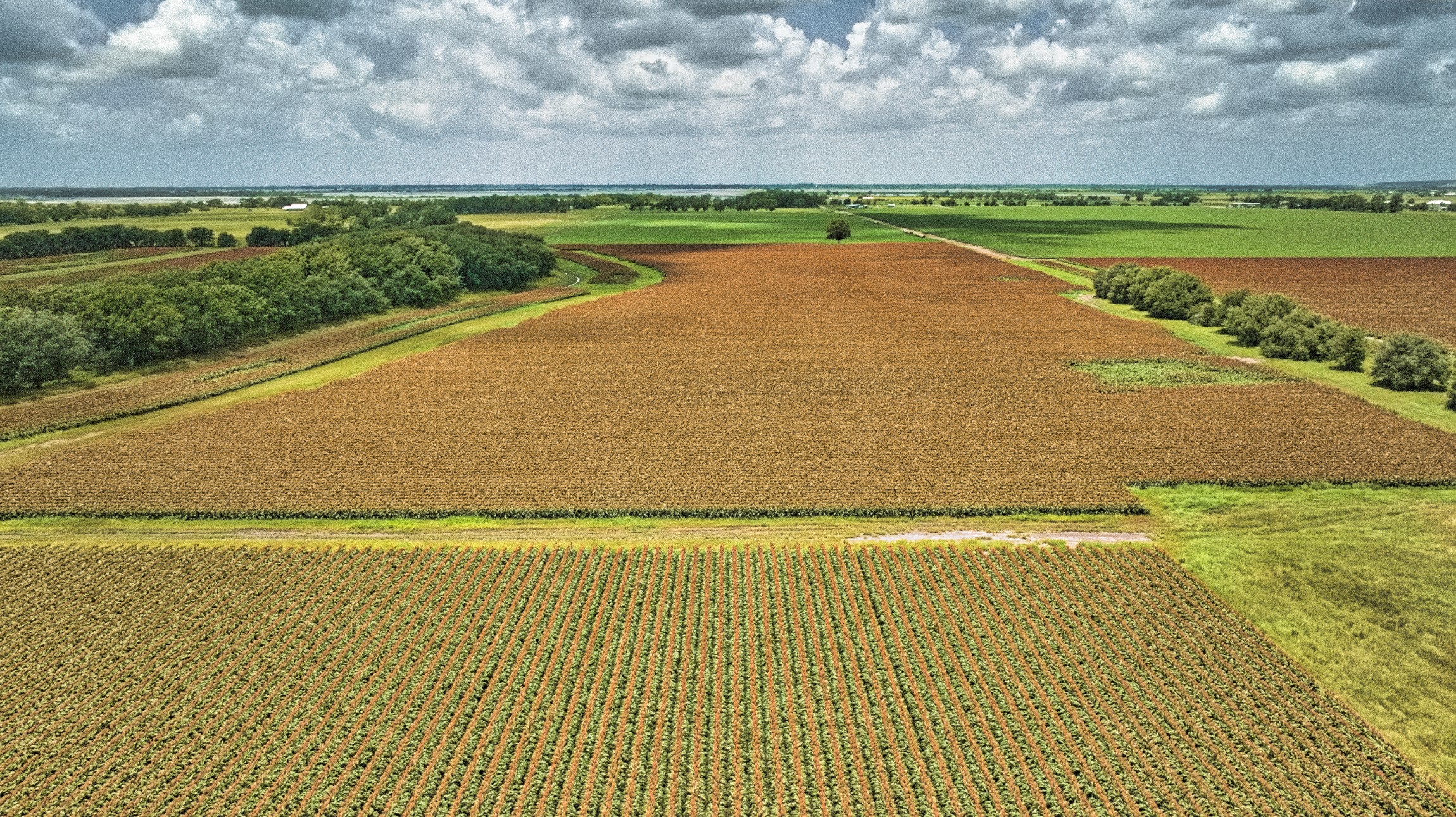 1462 Rd Damon Tx 77430 Road Damon, TX 77430 - Photo 21 of 22 a view of a swimming pool and an outdoor space