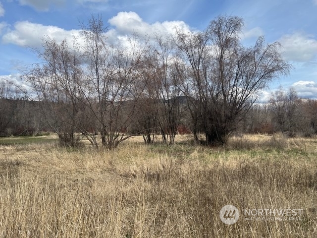 23 Tbd Blue Star Road Tonasket, WA 98855 - Photo 3 of 28 Gallery Image 3