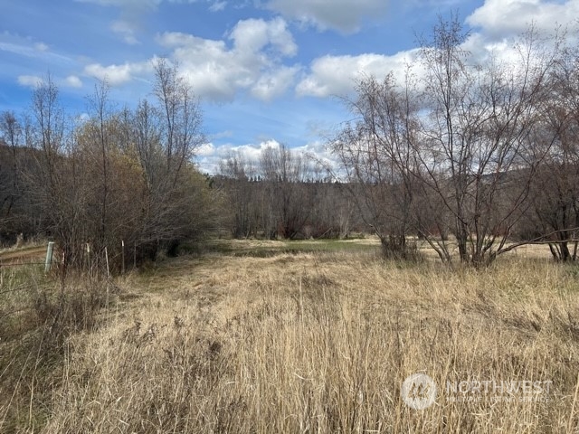 23 Tbd Blue Star Road Tonasket, WA 98855 - Photo 4 of 28 Gallery Image 4