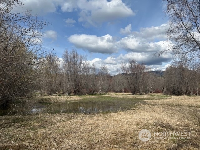 23 Tbd Blue Star Road Tonasket, WA 98855 - Photo 6 of 28 Gallery Image 6